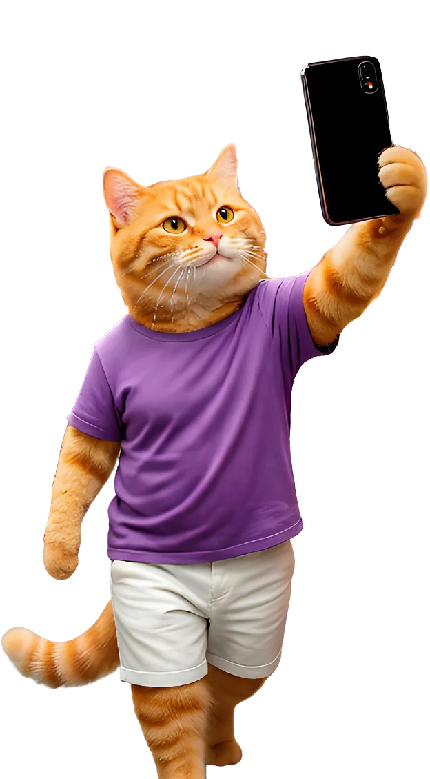 Кот с телефоном