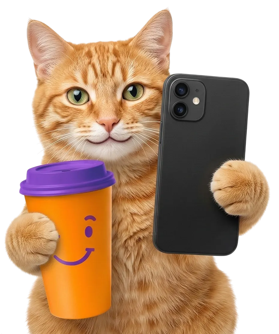 Кот